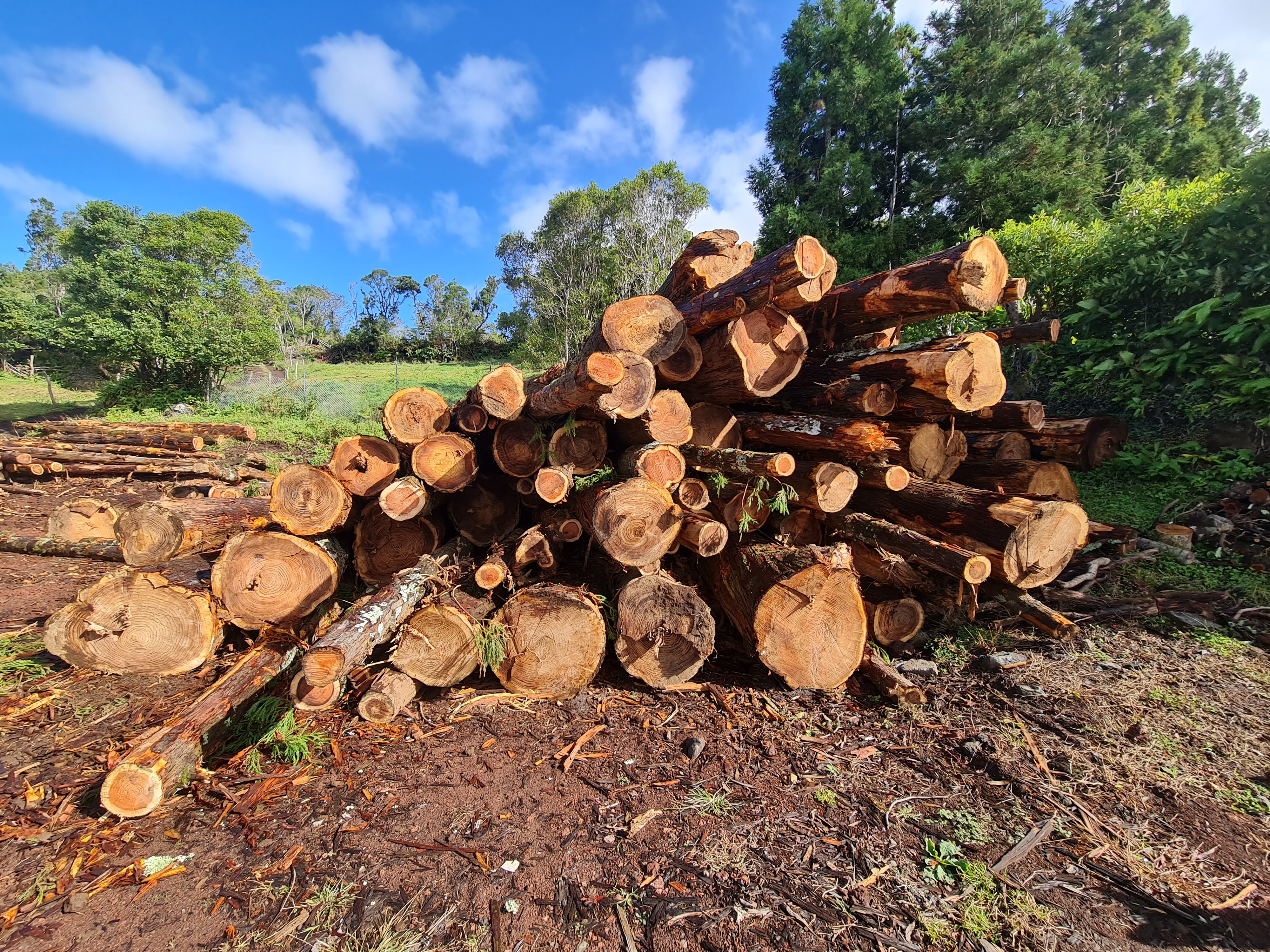 We start production in the Azores